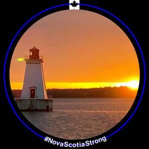 Meet your Posher, Tasha